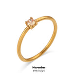 Evermine Birthstone Band