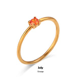 Evermine Birthstone Band