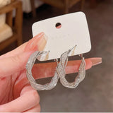 Mesh Mobius Hoop Earrings
